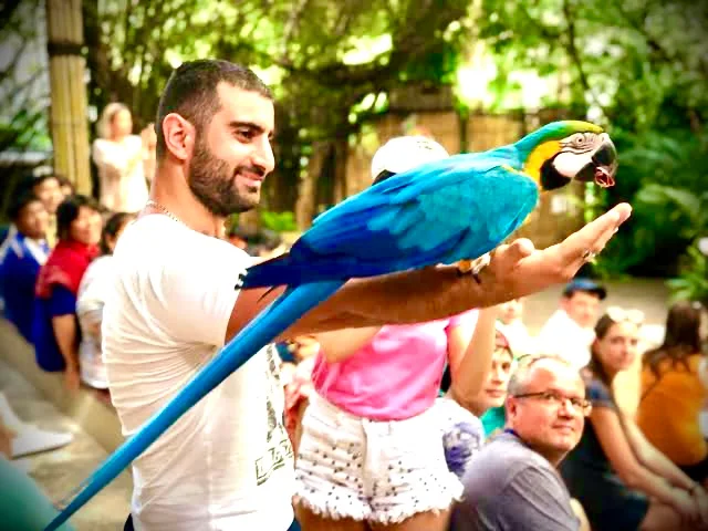Bird show at Phuket Bird Park