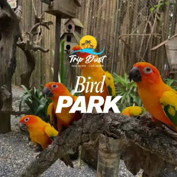 Bird Park Phuket