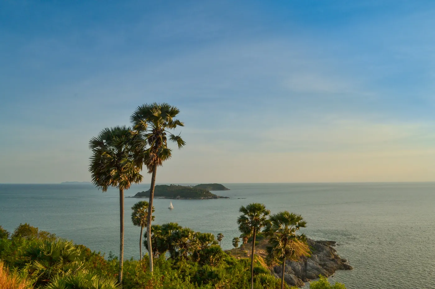 Sugar palms and the sea at Promthep Cape, Phuket