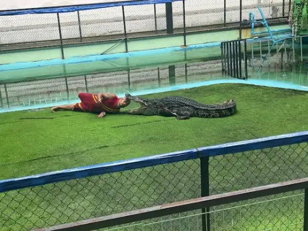 Crocodile Farm Phuket