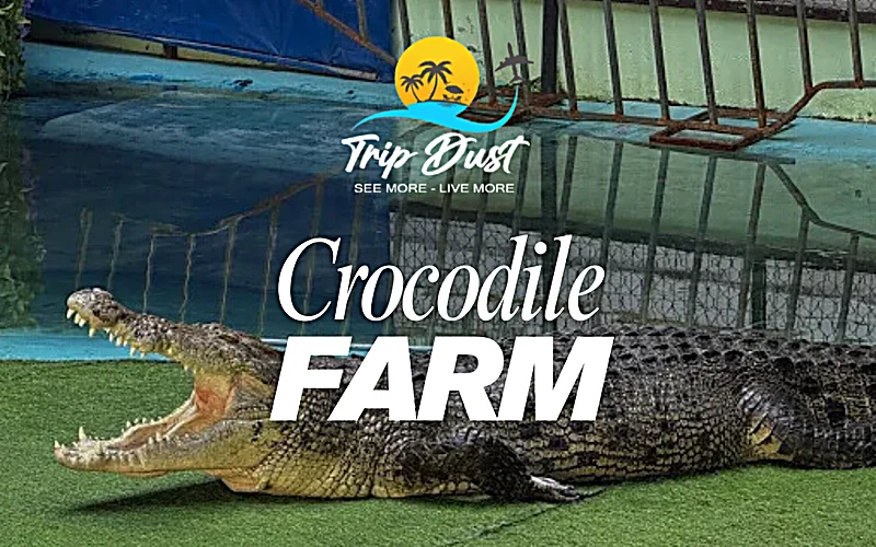Crocodile Farm Phuket