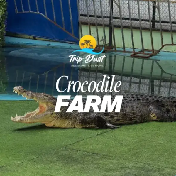 Crocodile Farm Pattaya