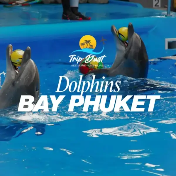 Dolphins Bay Phuket