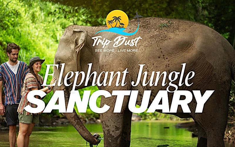 Elephant Jungle Sanctuary