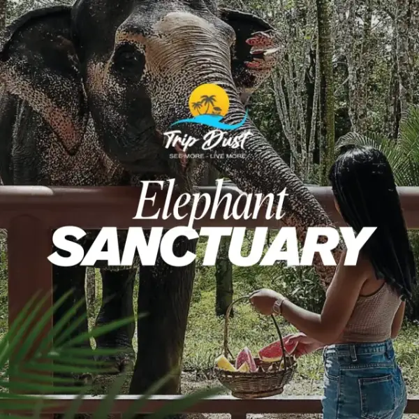 Elephant Sanctuary