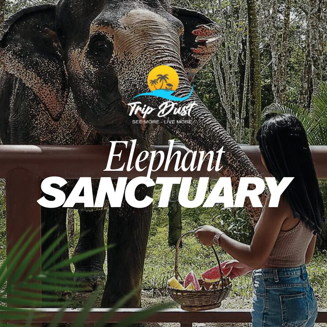 Elephant Sanctuary