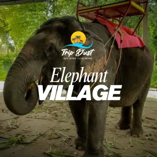 Elephant Village Pattaya