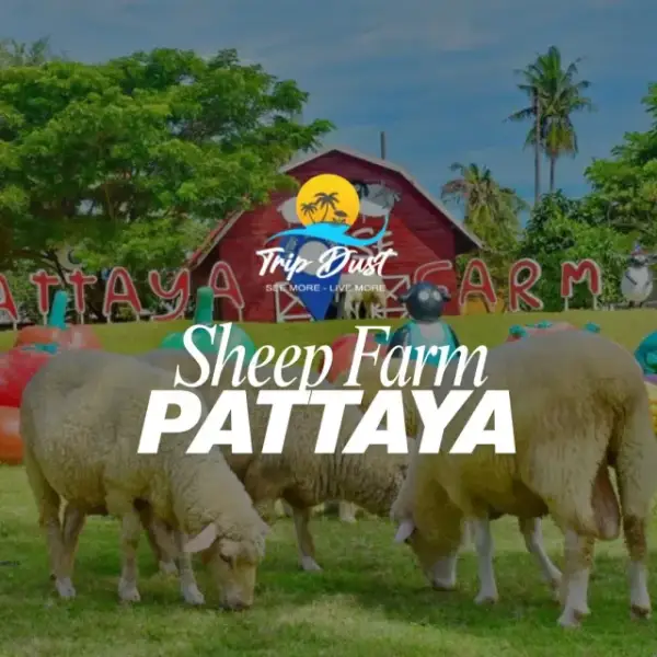 Family Park Sheep Farm Pattaya