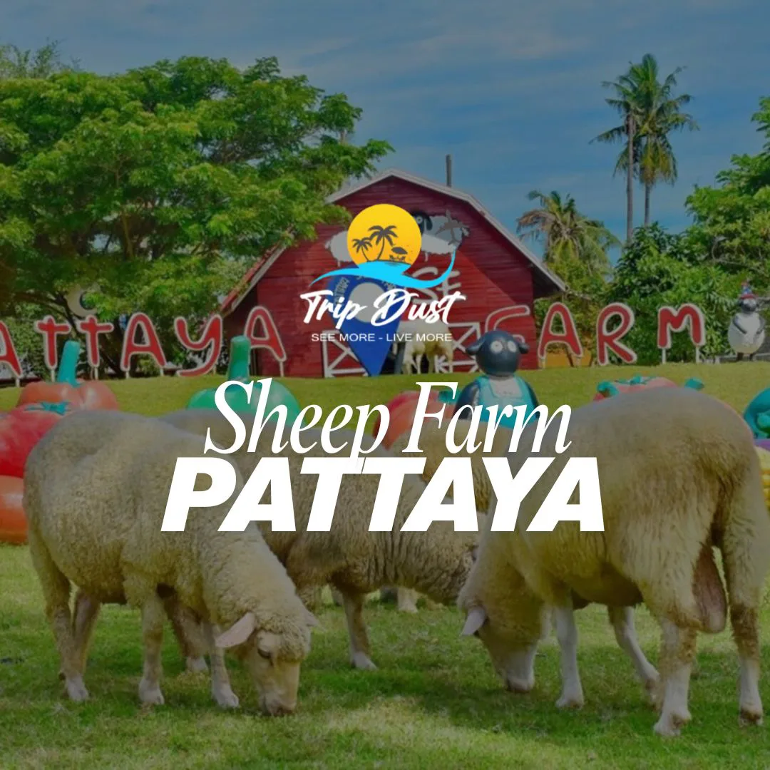 Family Park Sheep Farm Pattaya