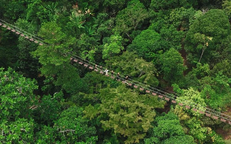Ziplining through the rainforest canopy at Flying Hanuman Phuket