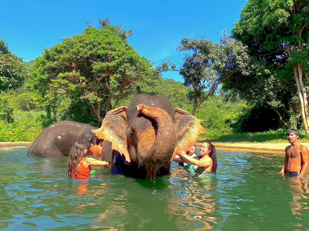 Elephant beside the trail on the ATV and Elephant experience in Huai Yai