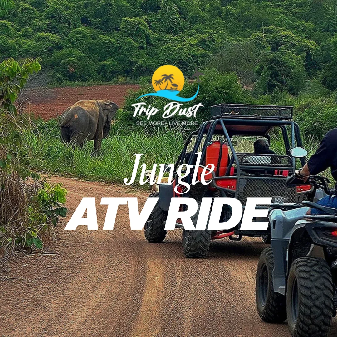 Jungle ATV Ride Pattaya