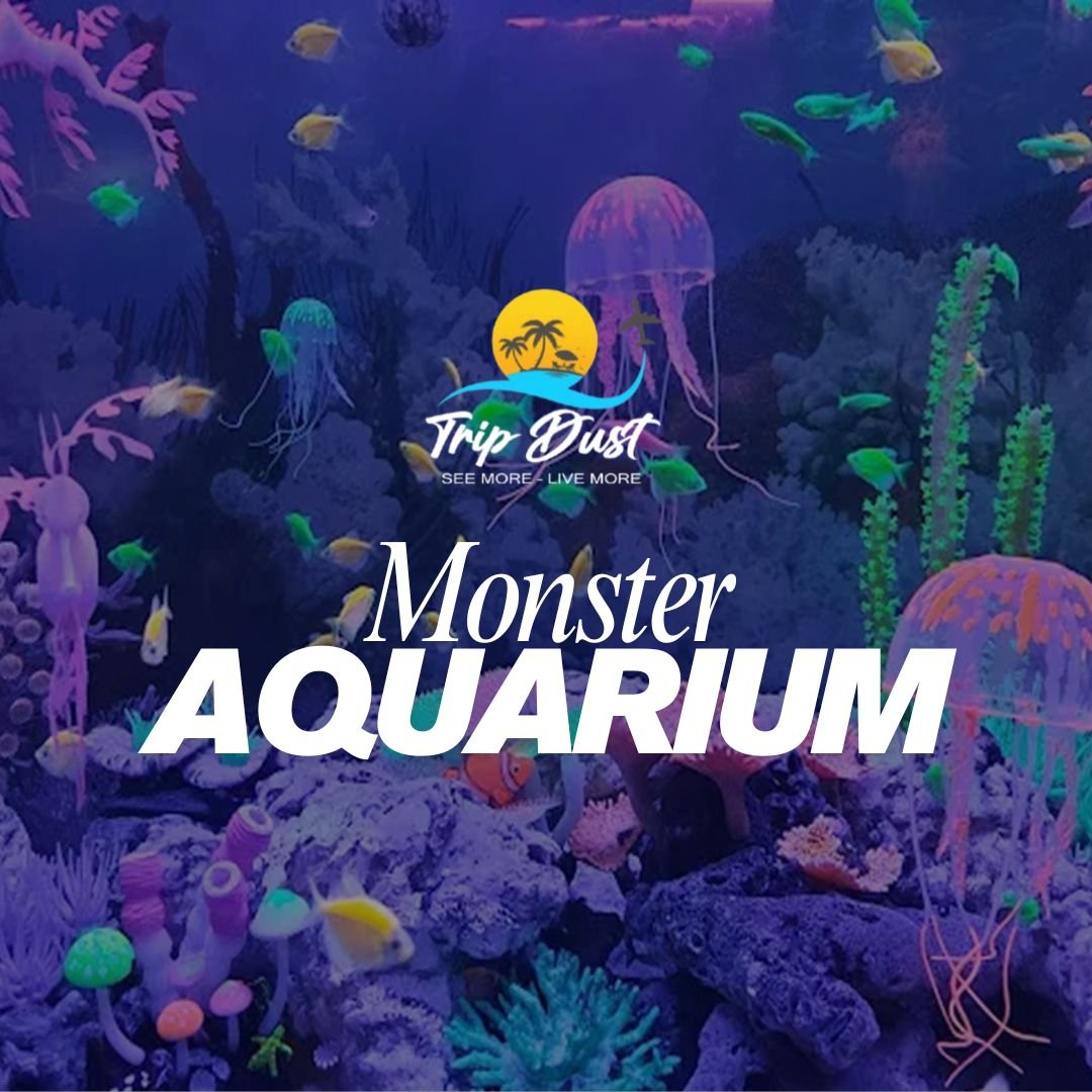 Monster Aquarium Pattaya