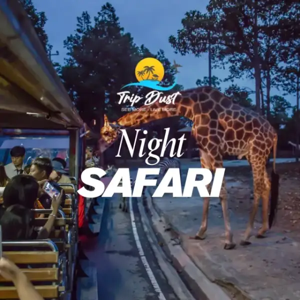 Chiang Mai Night Safari