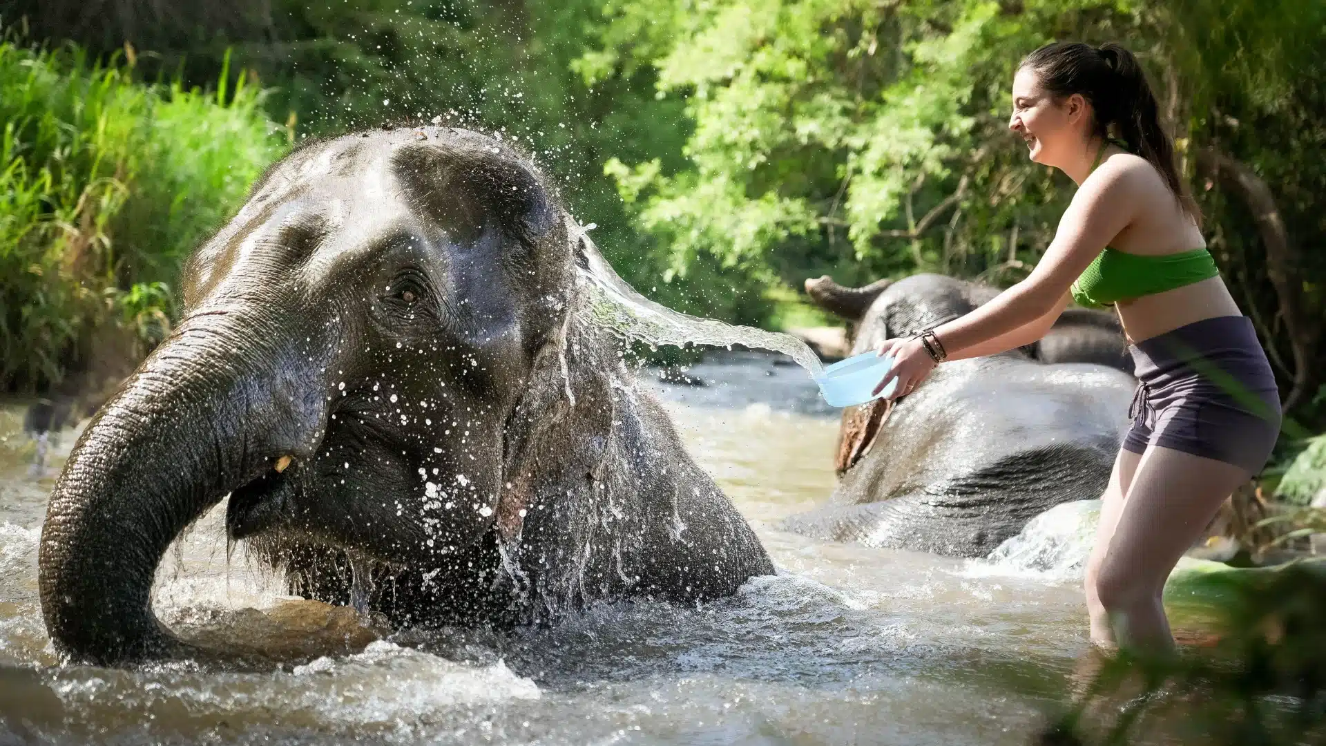 Jungle visit at Pattaya Elephant Sanctuary