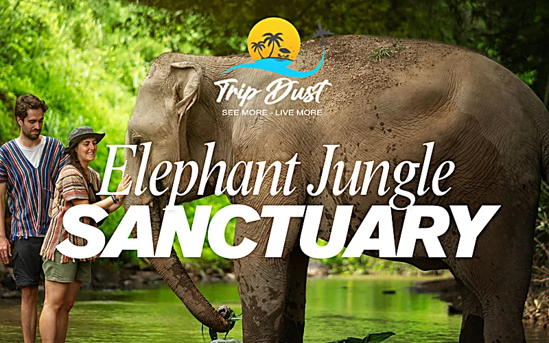 Phuket Elephant Jungle Sanctuary