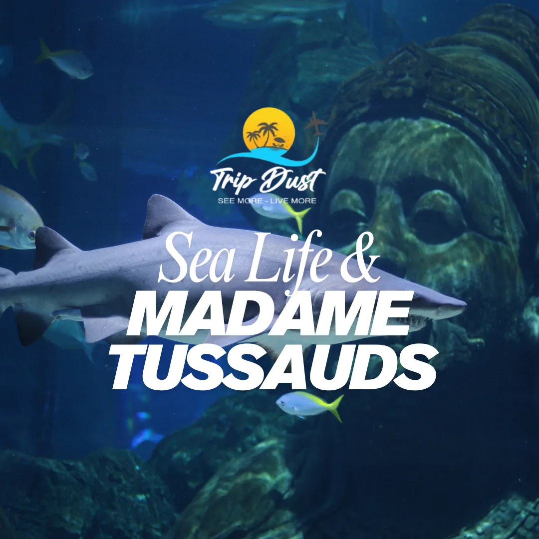 Sea Life And Madame Tussauds