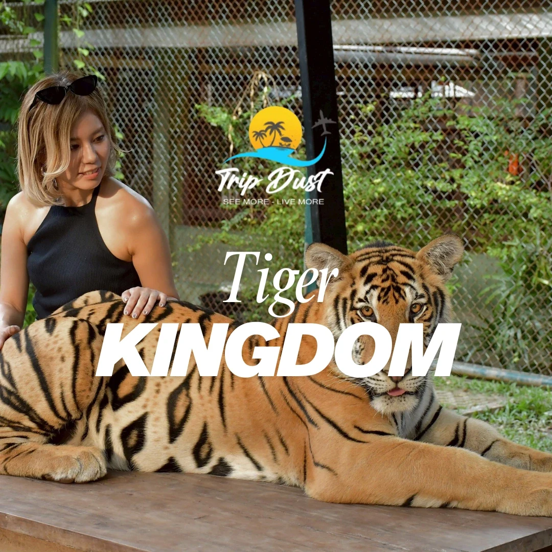 Tiger Kingdom Phuket
