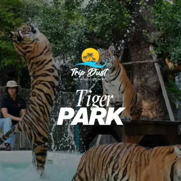 Tiger Park Pattaya