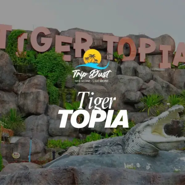 Tiger Topia Zoo Pattaya